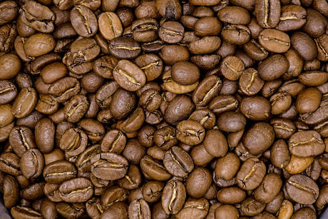 Wo ist der Unterschied zwischen Arabica und Robusta?